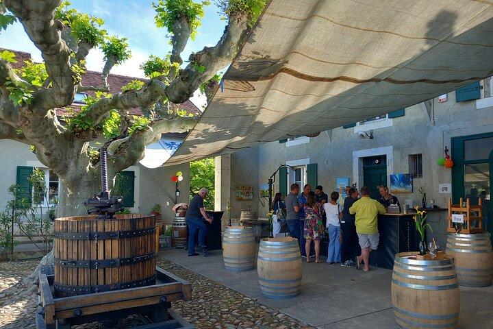 Tour privato di 3 ore tra i vigneti di campagna con degustazione di vini locali