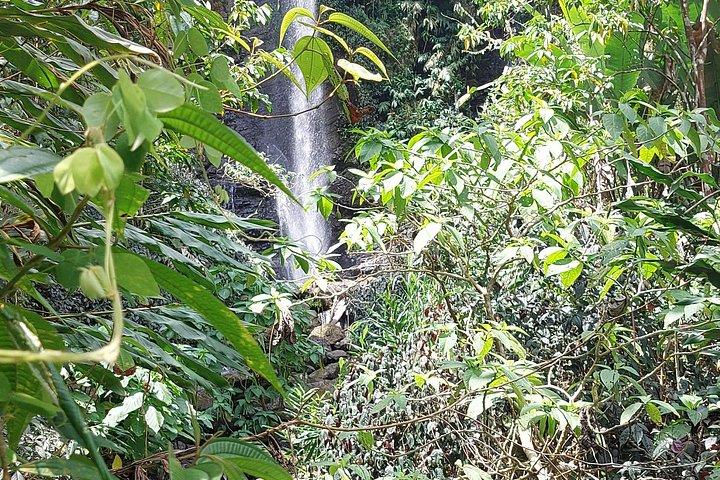 Blue Mountain Waterfall and Sightseeing Ecotour