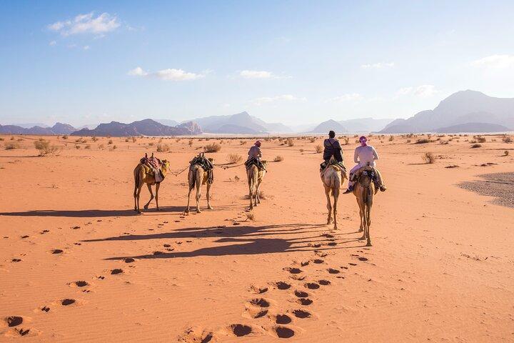 アカバ発：プライベート1日ワディラムとペトラツアー
