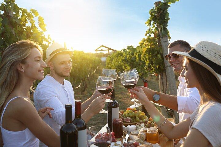 Toscane: Chianti semi-privé wijnproeverij en diner in de wijngaard