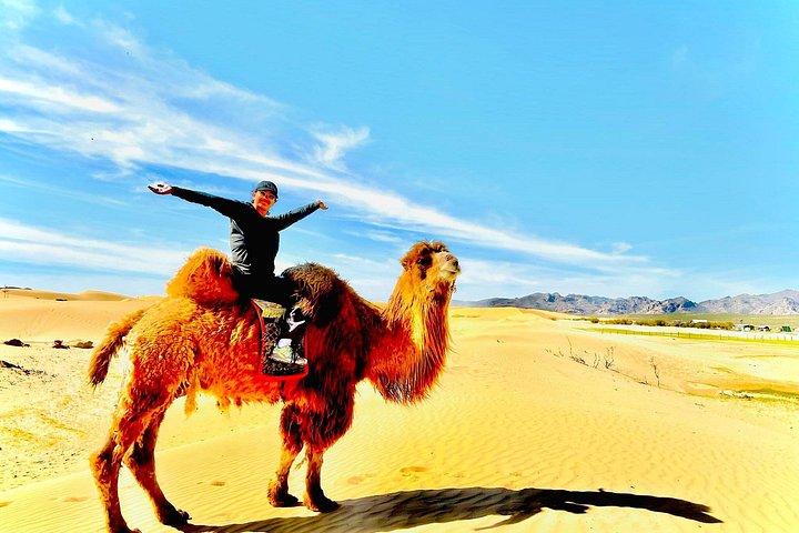 7 days Great Gobi Tour