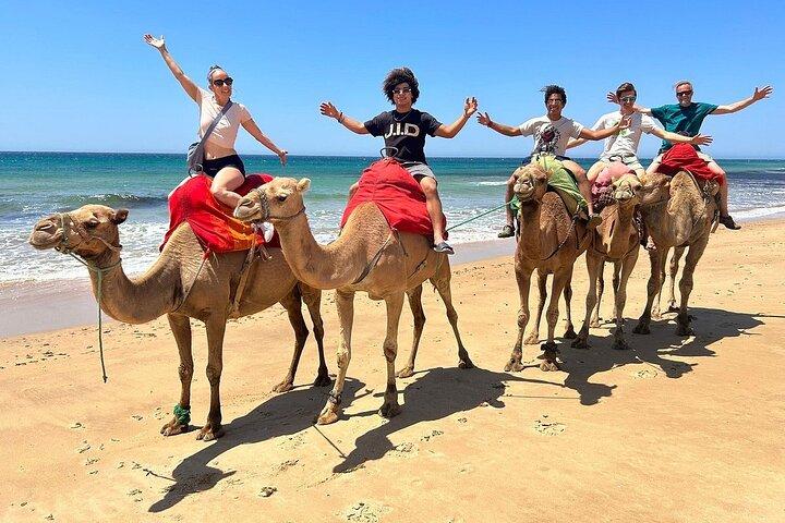 Tangeri city break : Scenic Drive e Camel Trek