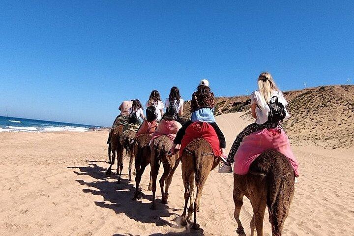 Tangeri city break : Scenic Drive e Camel Trek