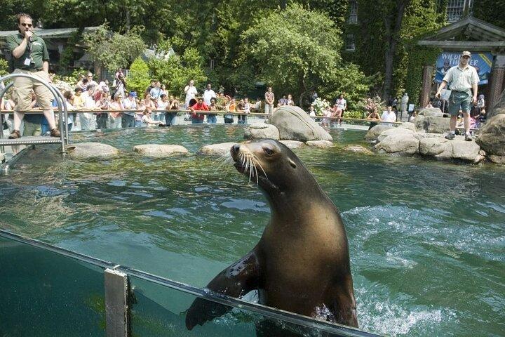 Central Park Zoo und 3-stündiger Manhattan-Rundgang