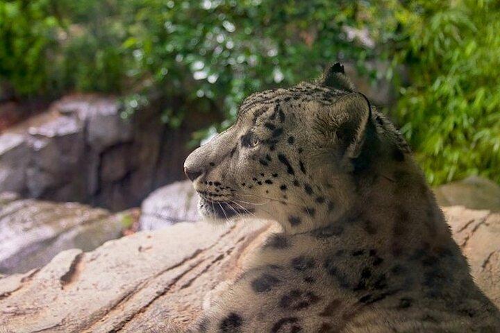 Zoo de Central Park et visite à pied de Manhattan de 3 heures