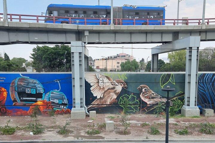 ケーブルカー体験、メキシコシティの裏道ウォーキングツアー