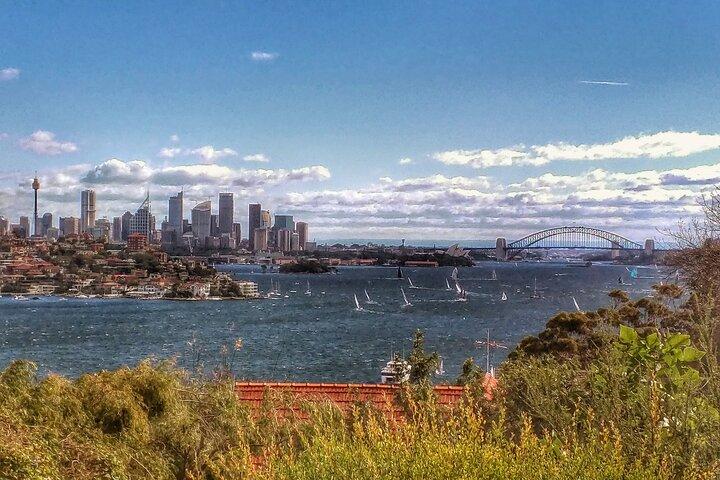 Sydney Shores e Suburbs - Watsons Bay e Bondi Beach Tour