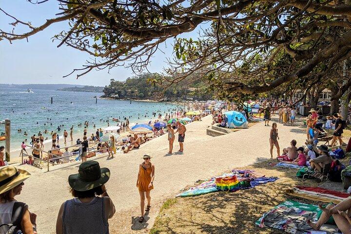 Sydney Shores and Suburbs - Watsons Bay en Bondi Beach Tour