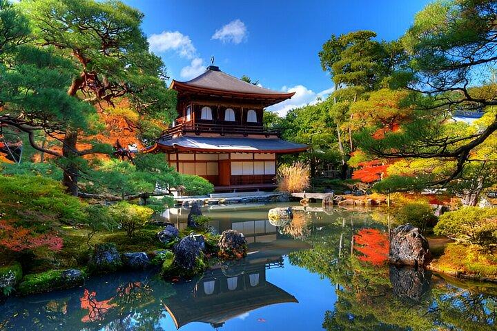 Kyoto Highlights Tour Privado com Pick and Drop