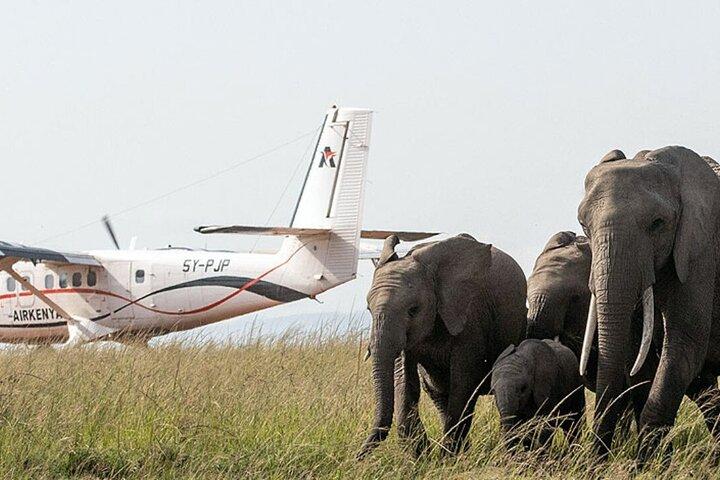 フライトと4x4ランドクルーザージープ付き9日間の野生動物アドベンチャー