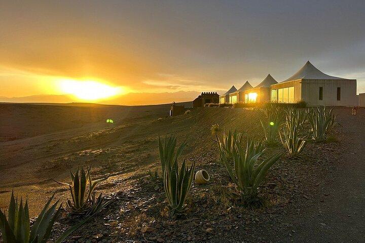 1000 & 1 Night at the Agafay Desert - White Camel Camp Experience