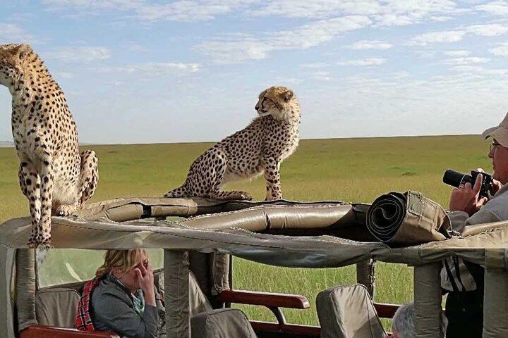 6 Day Nairobi Safari Adventure Tour