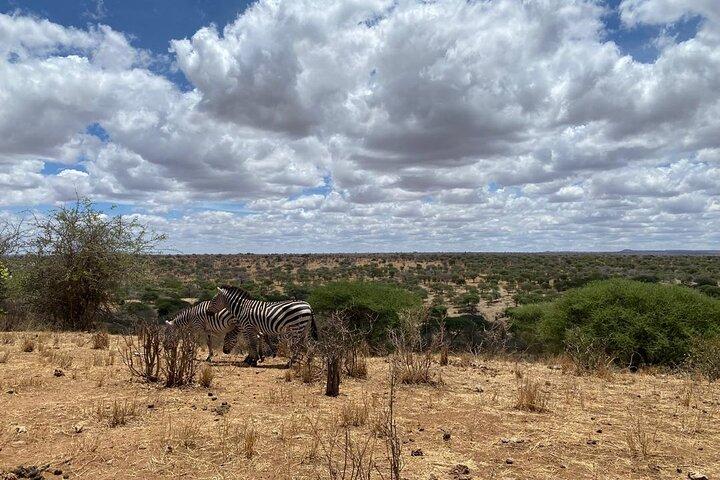 Wilde Tansania-Safari: Arusha, Tarangire, Ngorongoro, Serengeti