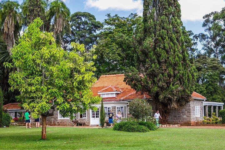 Giraffa Karen Blixen Museum Beads Bomas e cena carnivora