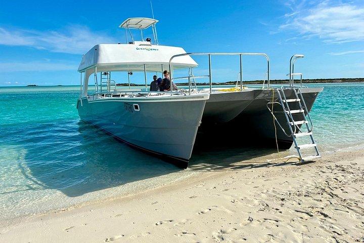 Group Reef, Beach and Sandbar Tour from Providenciales