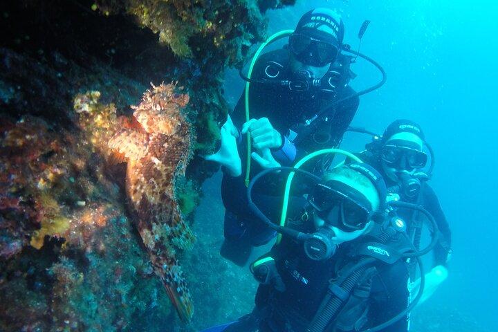 PADI Discover Diving (2 mergulhos) - Dubrovnik