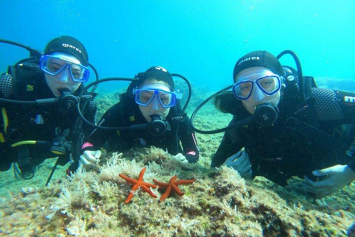 PADI Discover Diving (2 mergulhos) - Dubrovnik