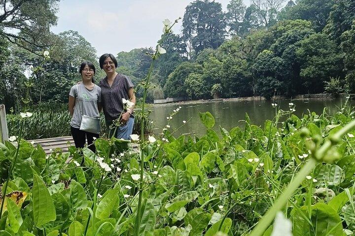 ボゴール植物園、都市とミニチュアパークの遺産
