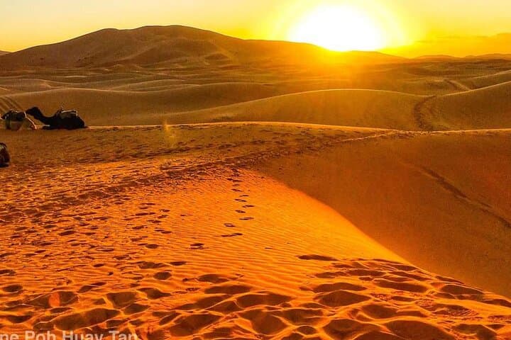 2 Day Private Overview of the Zagora Desert Tour