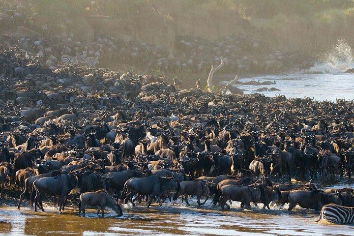 De las Llanuras al Cráter : Safari mixto de 3 días en el norte de Tanzania -