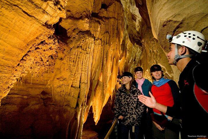 WAITOMO - Twin Caves Discovery - Excursion privée d'une journée au départ d'Auckland