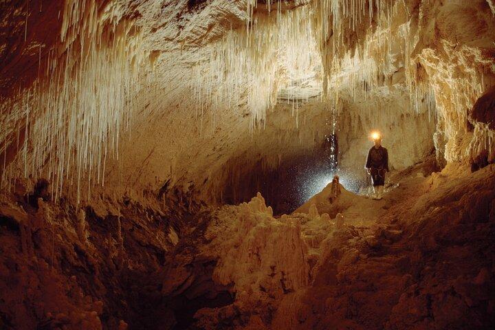 WAITOMO - Twin Caves Discovery - Excursion privée d'une journée au départ d'Auckland