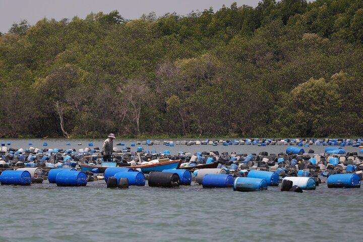 Can Gio Monkey Island and Mangrove Biosphere Full-Day Tour