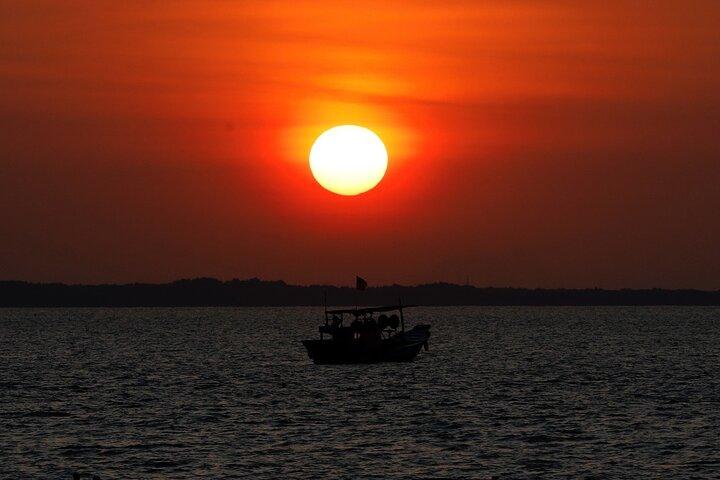 Can Gio Monkey Island and Mangrove Biosphere Full-Day Tour