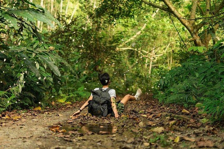 カバ国立公園＆ランハー湾：終日トレッキングアドベンチャー