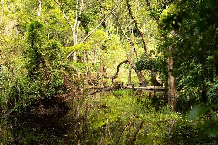 Full Day Trekking Cat Ba National Park, Viet Hai Village, Biking
