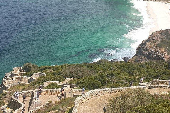 Table Mountain - boulder'sPenguins - Cape Point Excursão privada