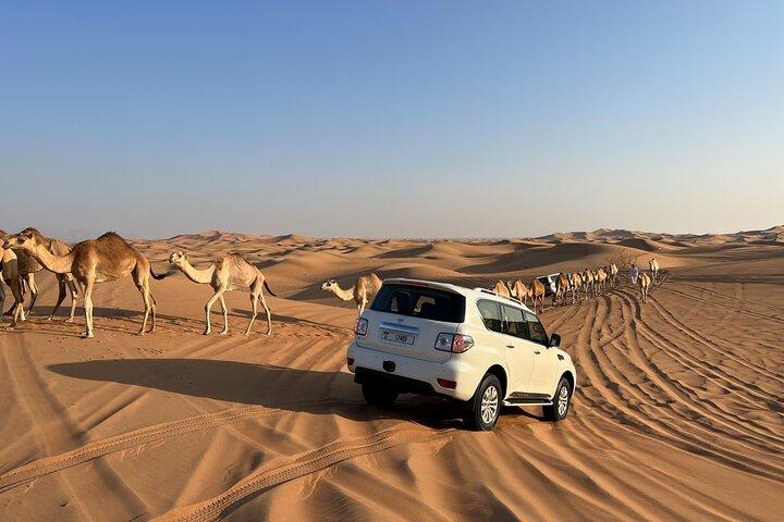 Wüstensafari in Dubai, Kamelritt, Shisha, Henna, Live-BBQ und Shows