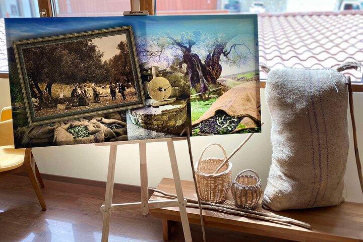 Tour della valle di Zeus (olio d'oliva, degustazione di vini)-palazzo di Cnosso