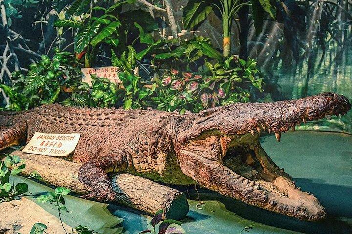 Sarawak Jong Crocodile Farm Educational Tour från Kuching
