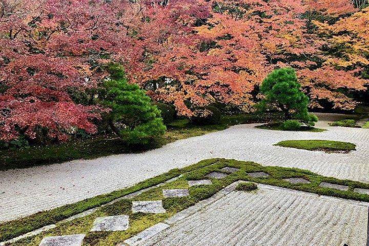 京都庭園ツアーとミニガーデン作り体験