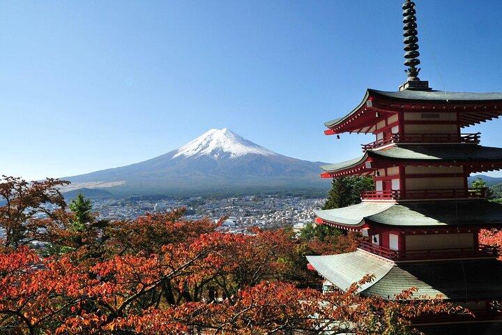 富士山と箱根へのプライベートツアー（完全免許オペレーター）