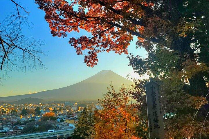 富士山と箱根へのプライベートツアー（完全免許オペレーター）