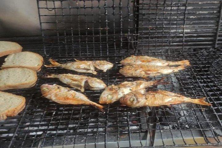 ザキントス島の伝統的な釣り体験