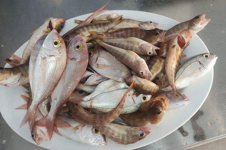 ザキントス島の伝統的な釣り体験
