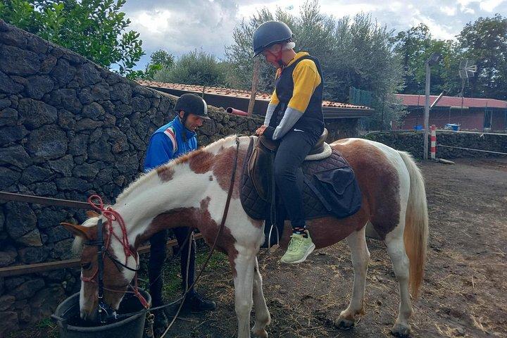 Private Horseback Riding Tour on Etna Area + Traditional Lunch