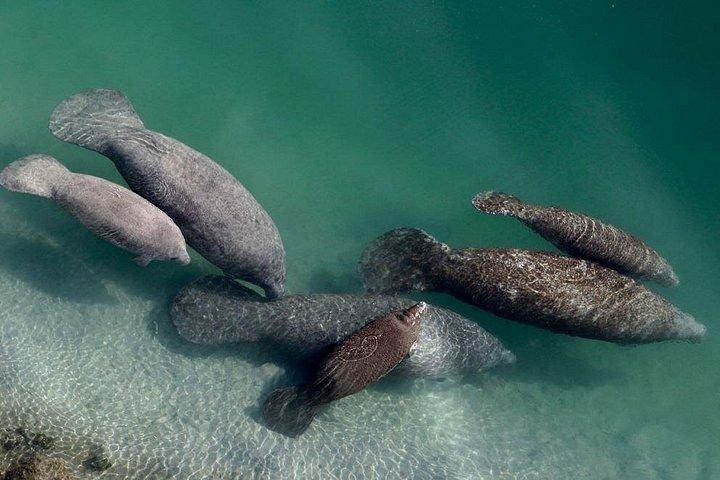 キーウェストプライベート野生動物保護区エコボートツアー
