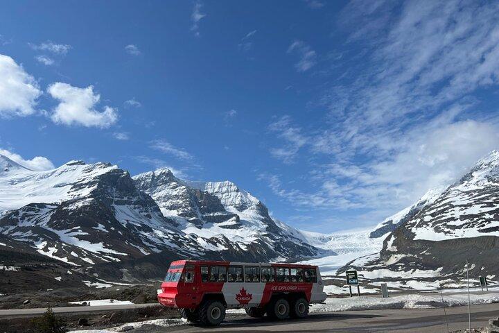 Banff Icefield Parkway Privat heldagstur