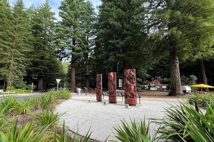 Te Puia And Redwood Park日帰り輸送（オークランド発）
