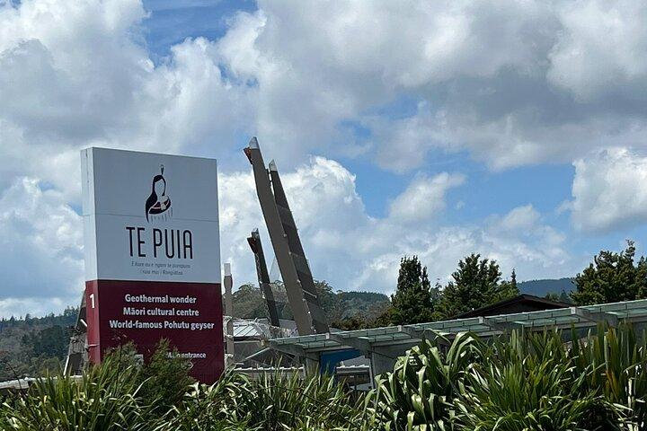 Te Puia And Redwood Park日帰り輸送（オークランド発）