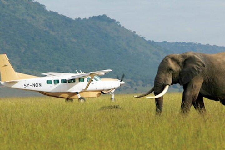 9 Tage Wildlife Adventure mit Flügen High End in Kenia