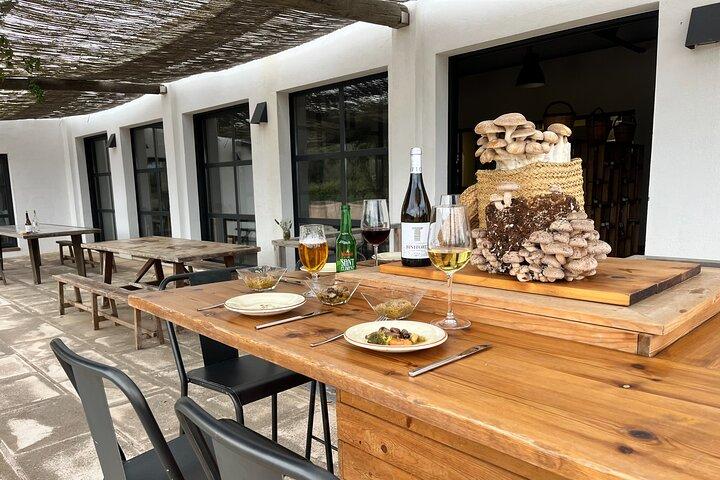 Visite guidée et dégustation en culture de champignons