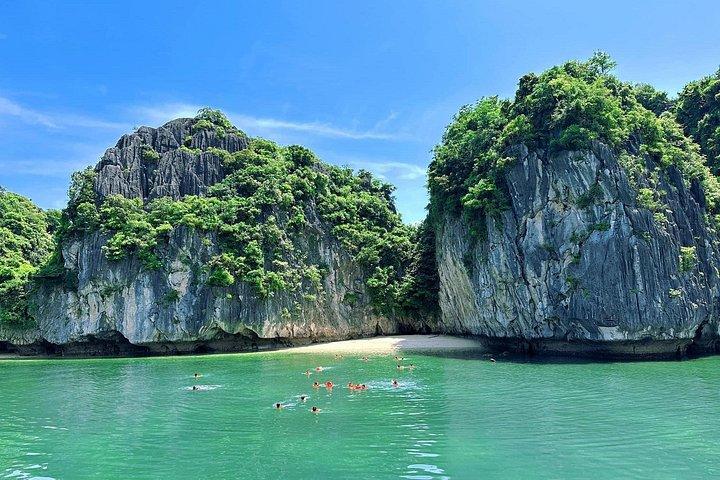 ハロン湾ランハを探索：カットバ島からの終日ボートツアー