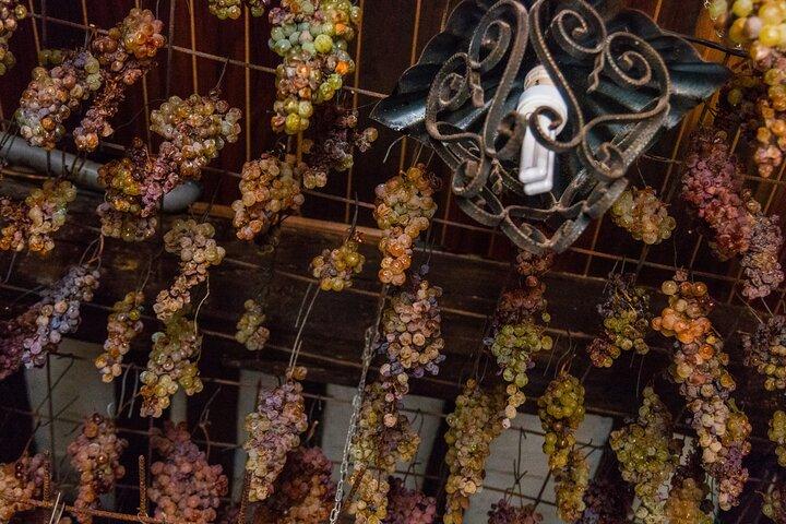 Tour privato di vino e viste alle Cinque Terre