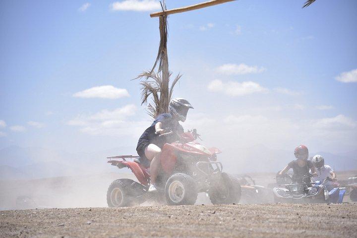 Half Day Marrakech Palm groves Quad Bike