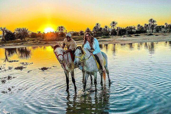 Reiten oder Kamelreiten bei Sonnenuntergang in Djerba